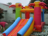 /album/articulos/img-0587-jpg/